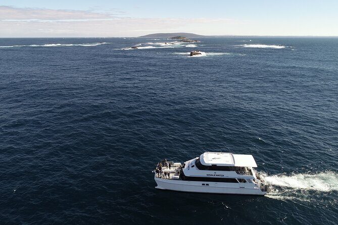 Whale Watching in Augusta Humpback and Southern Right Whales - FAQ