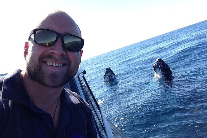 Whale Watching in Coffs Harbour - Authentic Insights from Reviewers