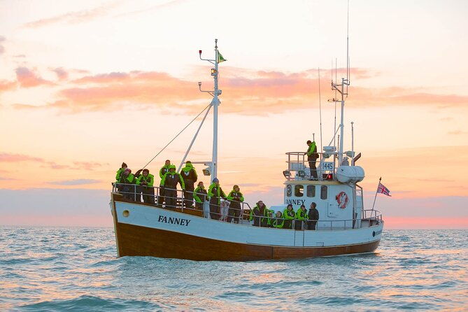 whale-watching-in-husavik