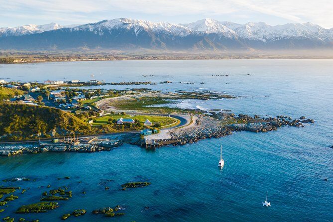 Whale Watching in Kaikoura by Boat - Who Will Love This Tour?