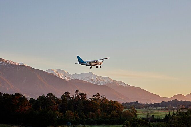 Whale Watching in Kaikoura - Ultimate Experience - Final Thoughts