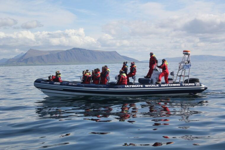 whale-watching-in-reykjavik-by-speedboat