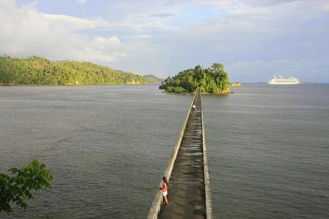 whale-watching-in-samana
