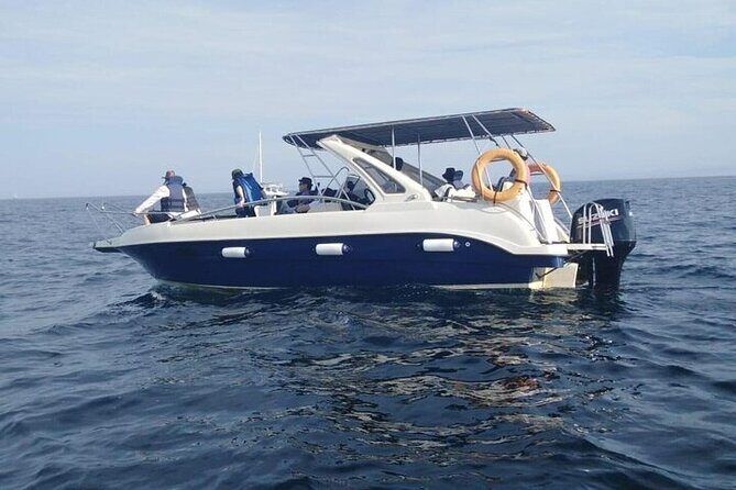 Whale Watching in Speed Boat in Mirissa - Key Points