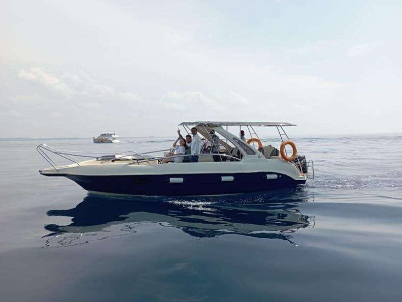 whale-watching-in-speed-boat-in-mirissa