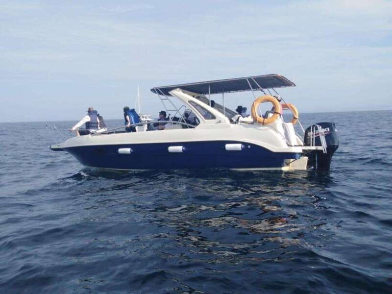 whale-watching-in-speed-boat-in-mirissa
