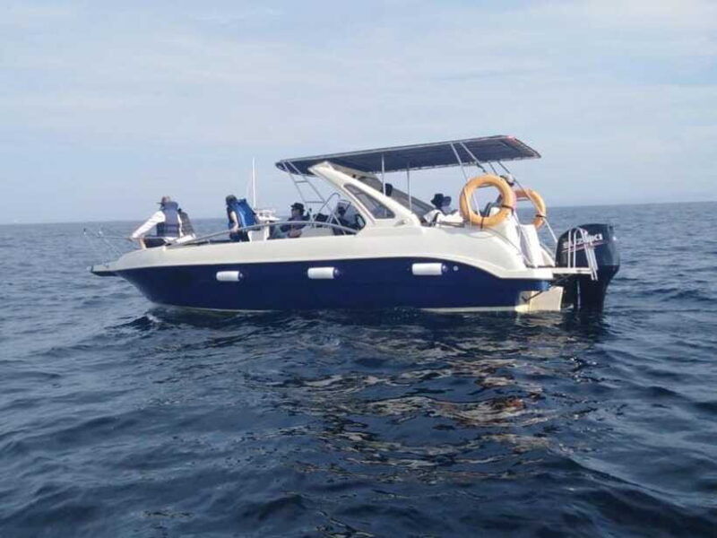 whale-watching-in-speed-boat-in-mirissa