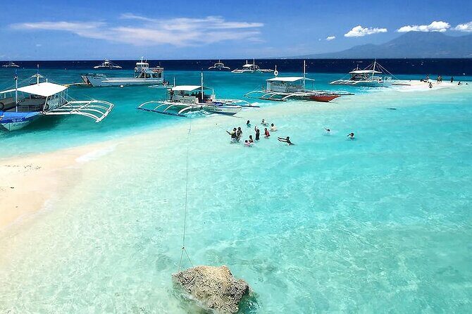 Whale Watching in Sumilon Island with Ocean View Resort and Lunch - Exploring the Whale Watching in Sumilon Island with Ocean View Resort and Lunch