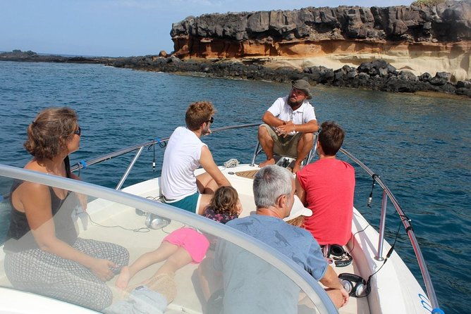 whale-watching-in-tenerife