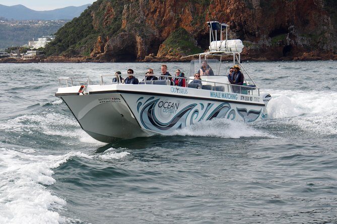 Whale Watching Knysna - Close Encounter Experience Ocean Odyssey - Who Will Love This Tour?