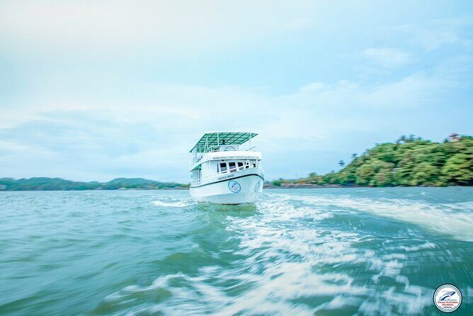 Whale Watching Mirissa in Sri Lanka with Pickup and Breakfast - The Experience of Whale Watching Mirissa: What to Expect