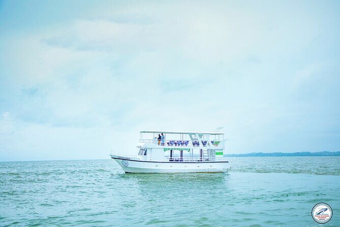 Whale Watching Mirissa in Sri Lanka with Pickup and Breakfast - Final Thoughts