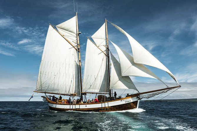whale-watching-on-a-traditional-oak-sailing-ship-from-husavik