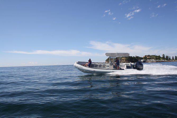 Whale Watching Terrigal - What’s Included and What’s Not