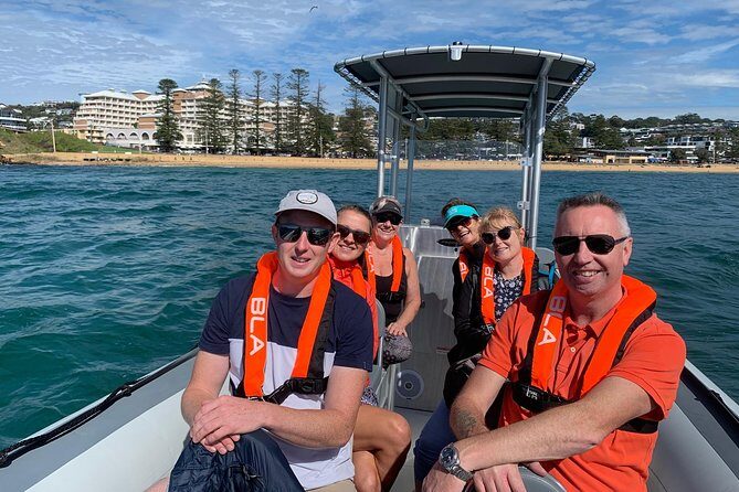 Whale Watching Terrigal - Comparing with Other Experiences