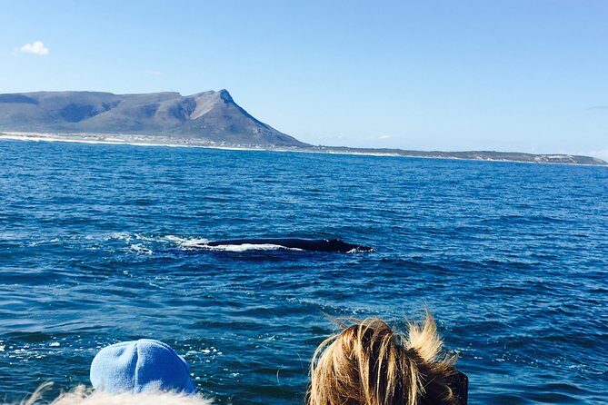 Whale Watching Tour in Hermanus with Hotel Pickup - Exploring the Itinerary in Detail