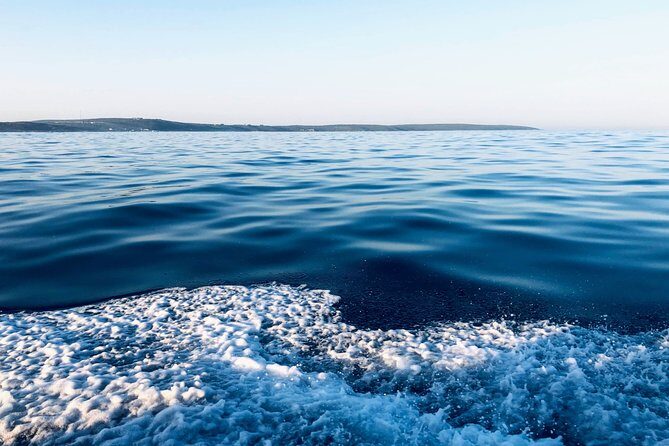Whale Watching Tour in Hermanus with Hotel Pickup - Who Will Love This Tour?