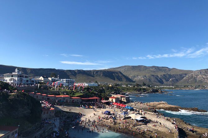 Whale Watching Tour in Hermanus with Hotel Pickup - Final Thoughts