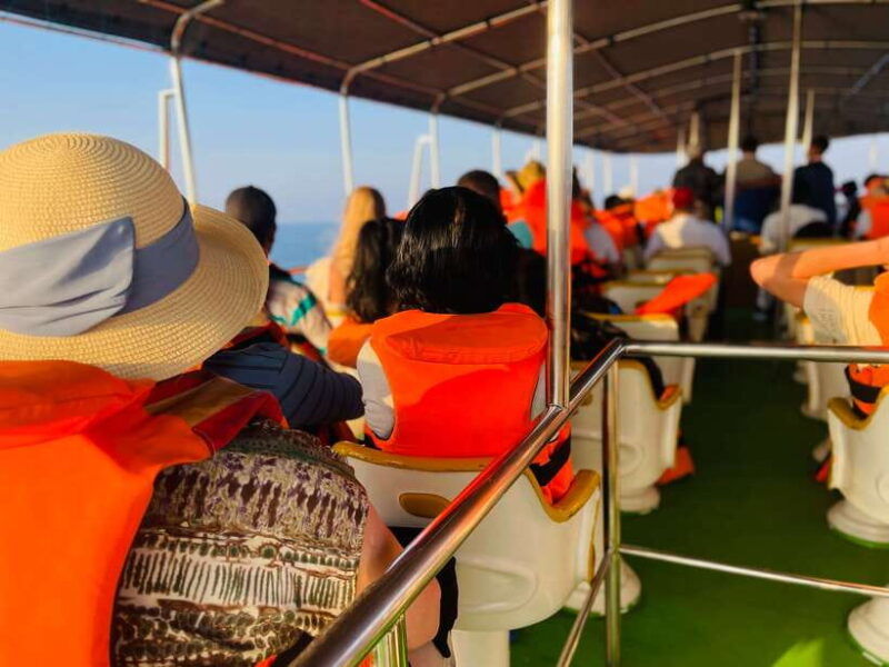 whale-watching-tour-with-transfers