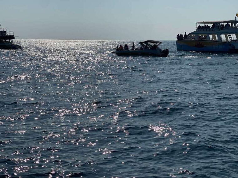 whale-watching-tour-with-transfers
