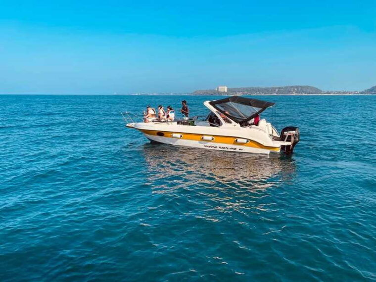 whale-watching-tour-with-transfers