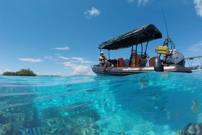 Whale Watching Tours in Bora Bora - Final Words