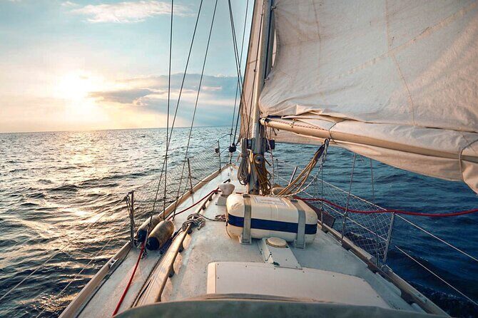 Whale Watching Yacht Tour from Trincomalee - A Detailed Look at the Whale Watching Yacht Tour