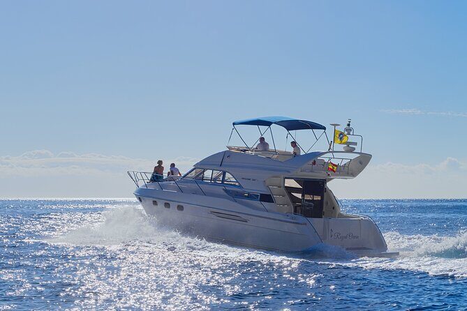 Whales and Dolphins excursion on a Luxury Yacht in Canary Islands - Exploring the Whales and Dolphins Excursion on a Luxury Yacht in Tenerife