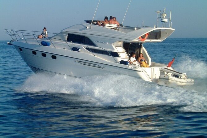 Whales and Dolphins excursion on a Luxury Yacht in Canary Islands - FAQs