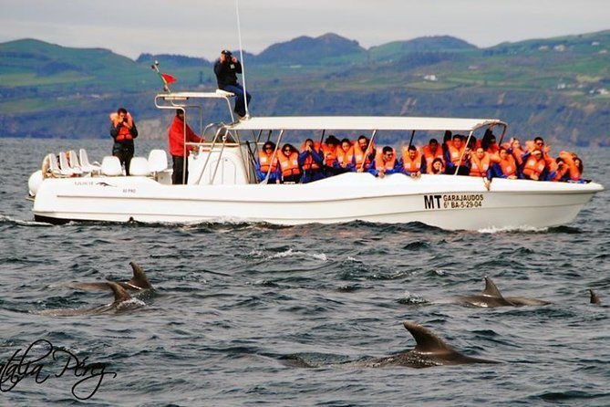 whales-and-dolphins-vila-franca-islet-full-day-with-lunch