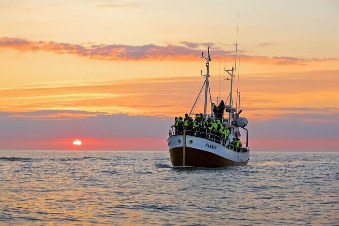 Whales and Puffins Tour from Husavik - What to Expect on the Tour