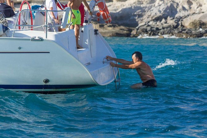 whales-dolphins-watching-in-exclusive-sailboat