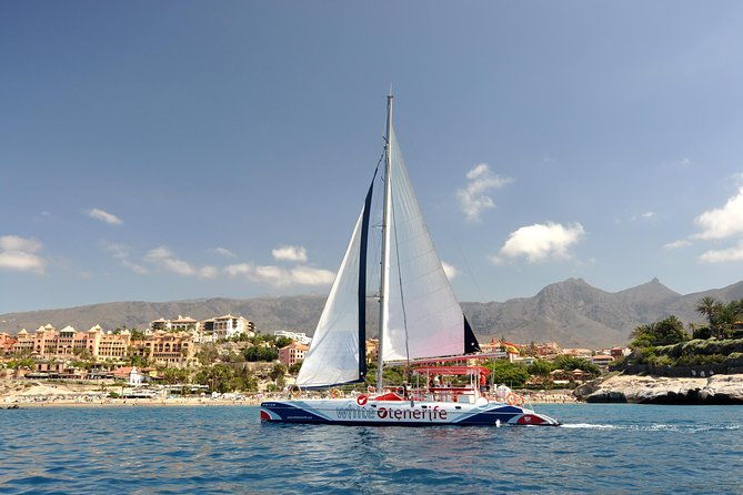 whales-listening-eco-catamaran-tour-with-food-tasting