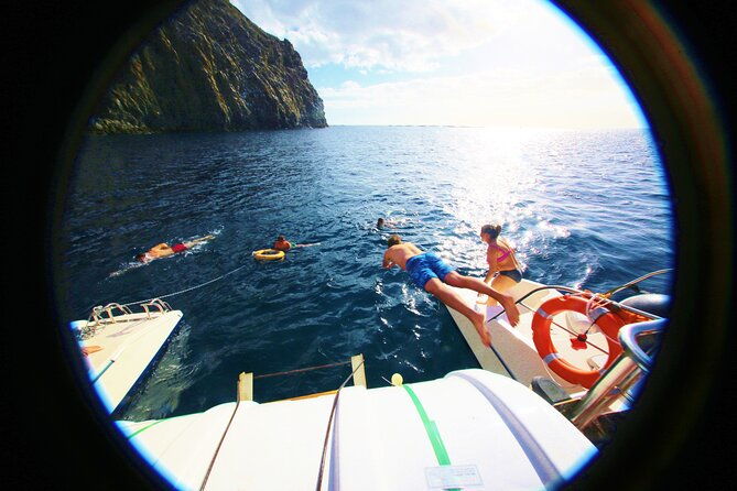 whales-listening-eco-catamaran-tour-with-food-tasting
