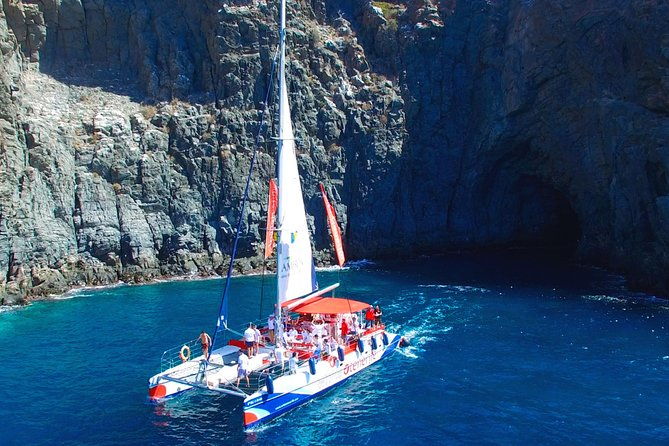 whales-listening-eco-catamaran-tour-with-food-tasting