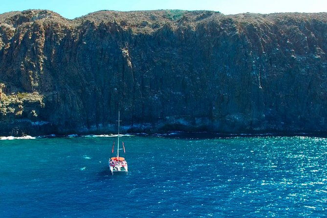 whales-listening-eco-catamaran-tour-with-food-tasting
