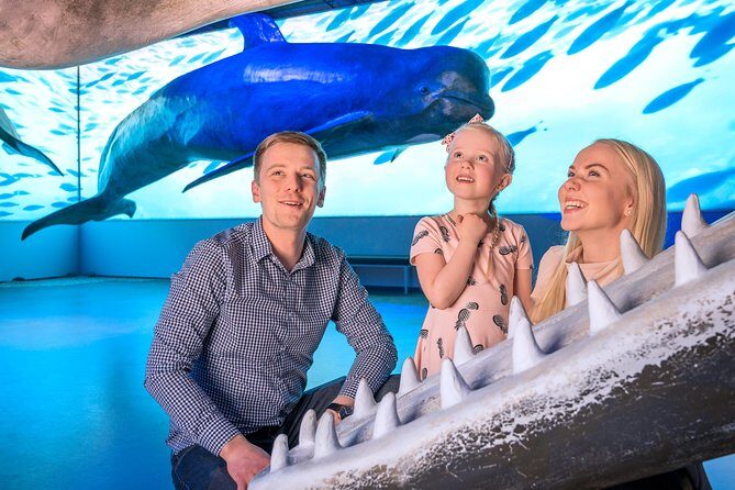Whales Of Iceland Admission Ticket - Frequently Asked Questions