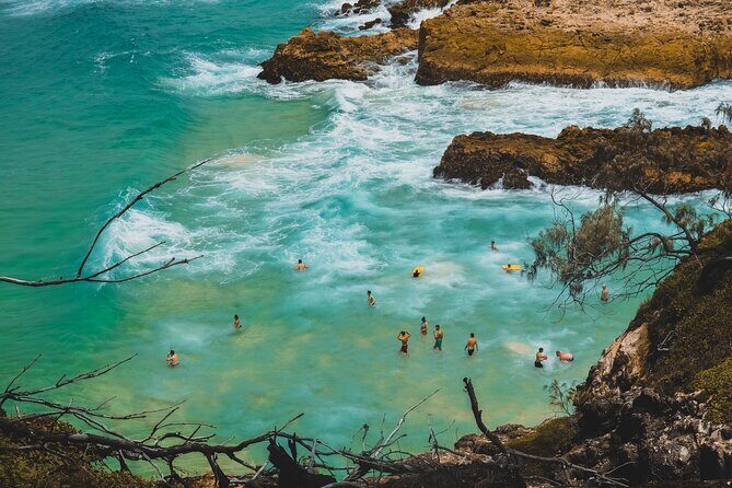 Whales, Wildlife & Beach  Eco Day Trip to Stradbroke - FAQs