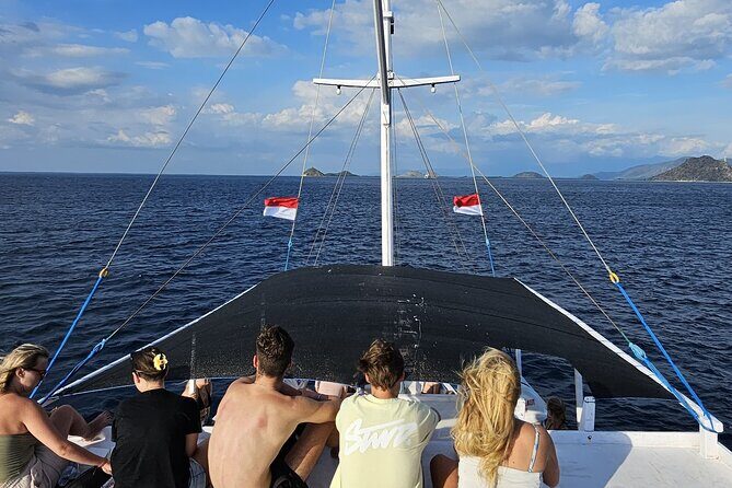 Whaleshark and Komodo Trip 4D 3N Share Deck - Final Thoughts: Who Will Get the Most Out of This Tour?