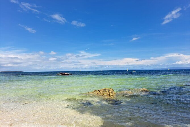 Whaleshark & Sumilon Is and Moalboal Sardines & Turtle Tour - FAQ