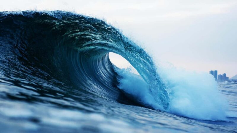 Whangamat: Private Couple Surf Lesson - Who Will Love This Experience?
