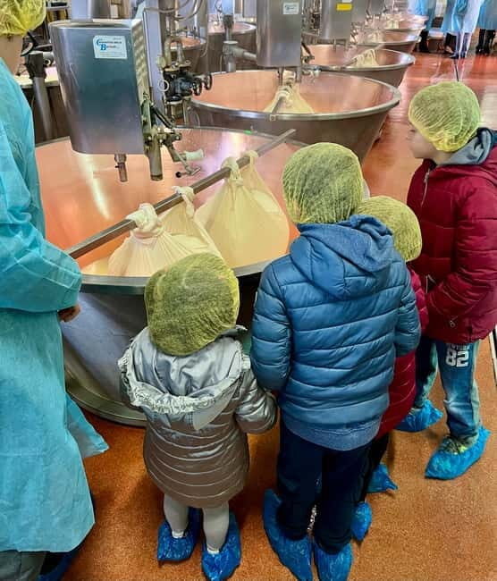 What a day: Parmesan, Balsamico , Lambrusco Taste&Tour+Lunch - What a Day: Parmesan, Balsamico, Lambrusco Taste & Tour + Lunch