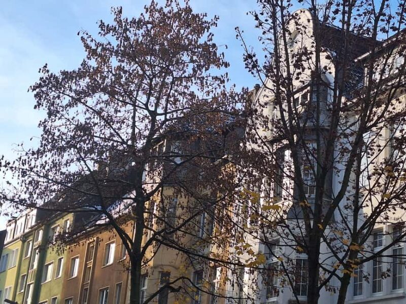What has made Dortmund rich to this day: Bike tour incl. drink - A Closer Look at the Dortmund Bike Tour