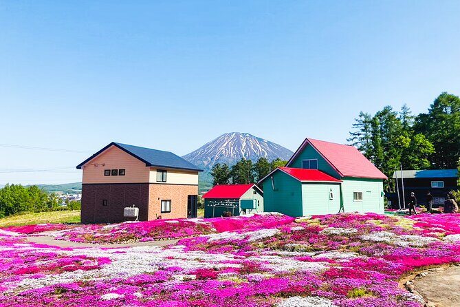 Wherever you want! 1-Day Private Tour from Sapporo to Furano more - FAQs