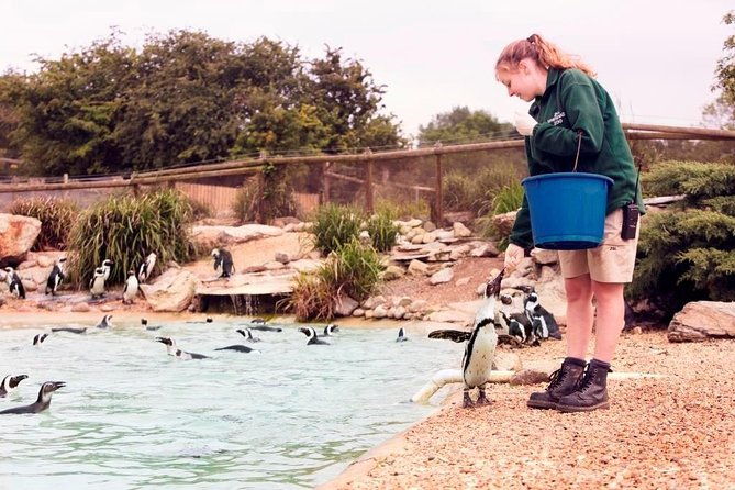 whipsnade-zoo-entry-ticket