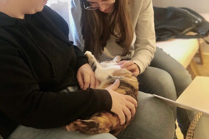 Whiskers & Coffee: Relax and Play with Adorable Cats - Who is This Experience Perfect For?