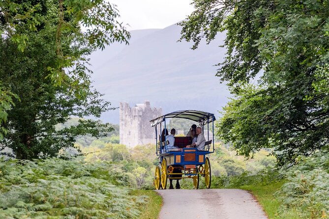 whiskey-wonders-in-killarney