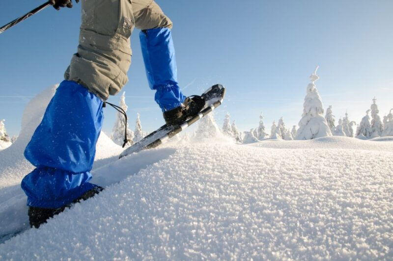 whistler-backcountry-snowshoeing-tour-with-guide