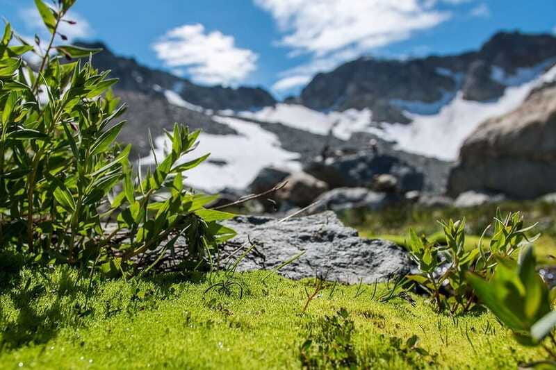 whistler-guided-glacier-discovery-hike
