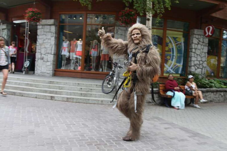 whistler-the-longest-zipline-in-north-america